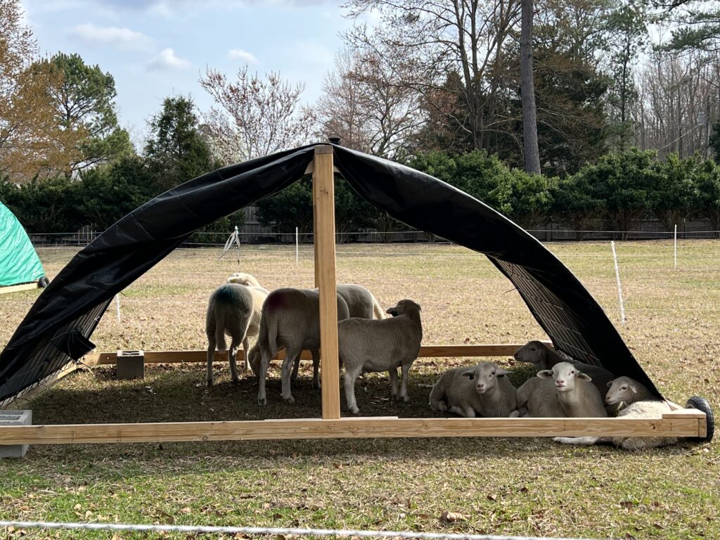 mobile sheep shelter
